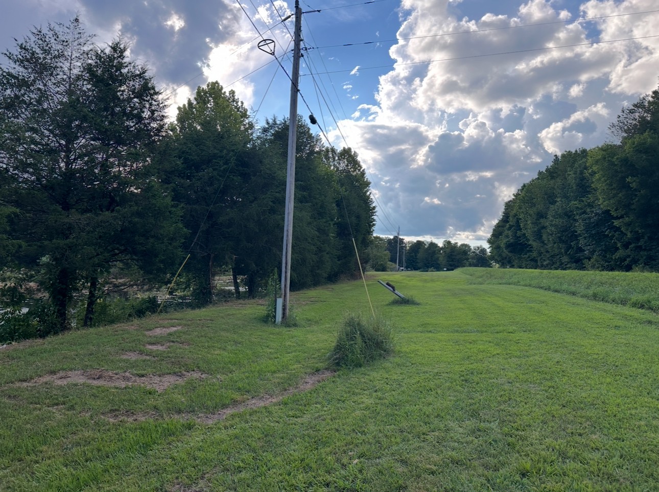 8884 Highway 412 Linden, TN 37096 - Photo 43 of 45