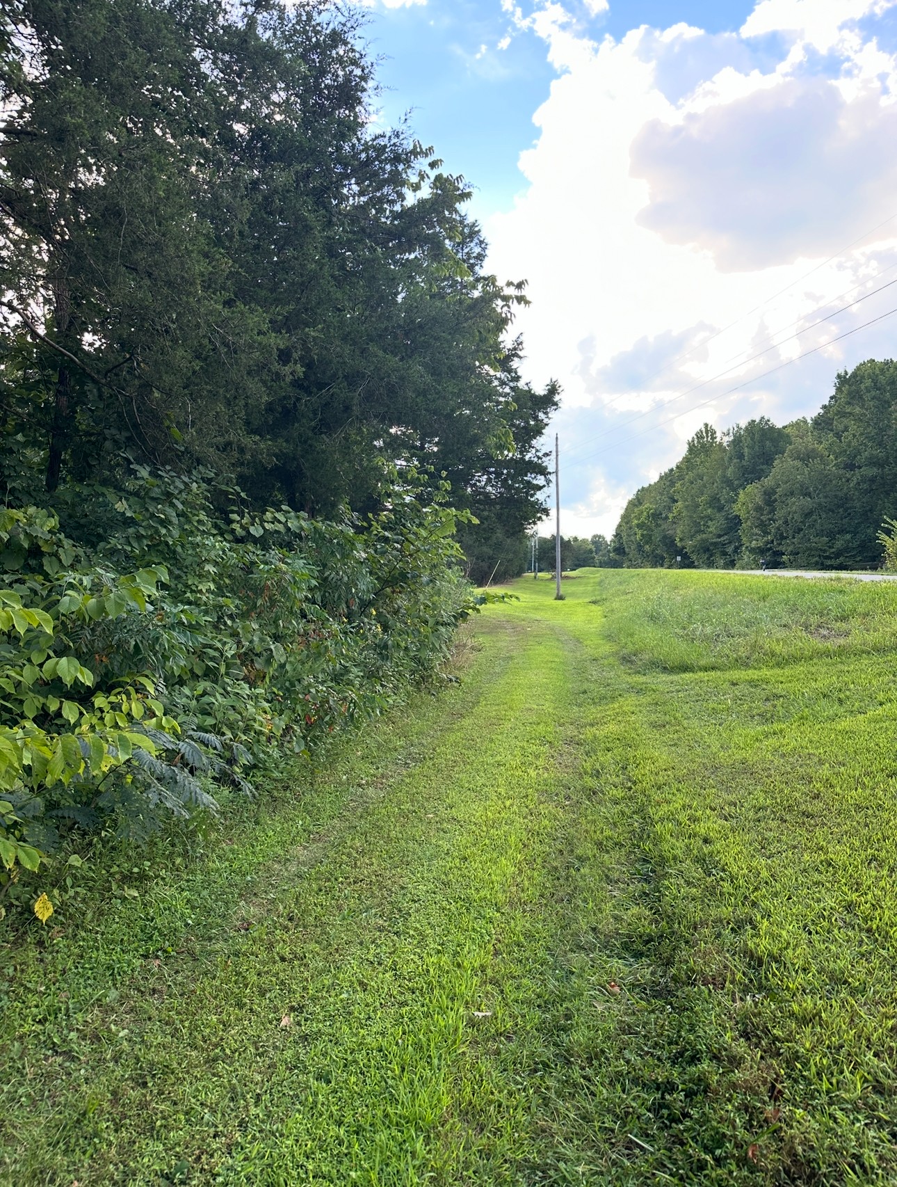 8884 Highway 412 Linden, TN 37096 - Photo 44 of 45 a view of a green field with wooden fence