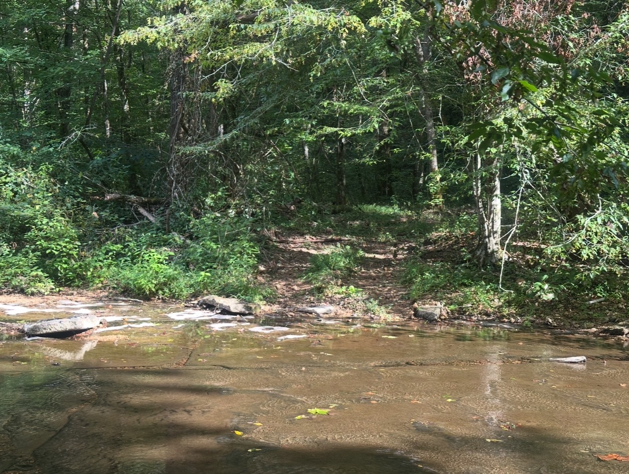 8884 Highway 412 Linden, TN 37096 - Photo 5 of 45 a view of a lake view with beach