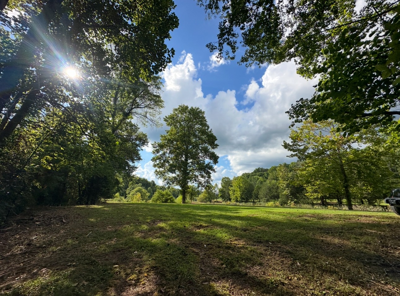 8884 Highway 412 Linden, TN 37096 - Photo 6 of 45 a view of a golf course