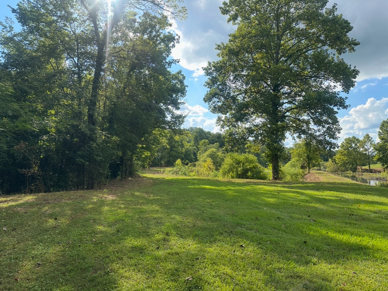 8884 Highway 412 Linden, TN 37096 - Photo 7 of 45 a view of outdoor space with trees all around