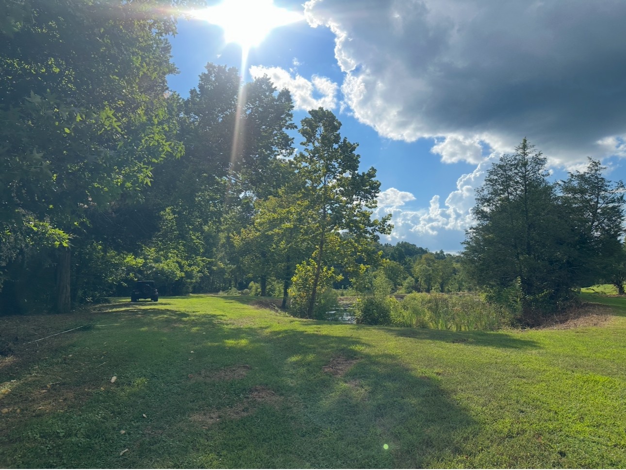 8884 Highway 412 Linden, TN 37096 - Photo 8 of 45 a view of a grassy field with trees in the background