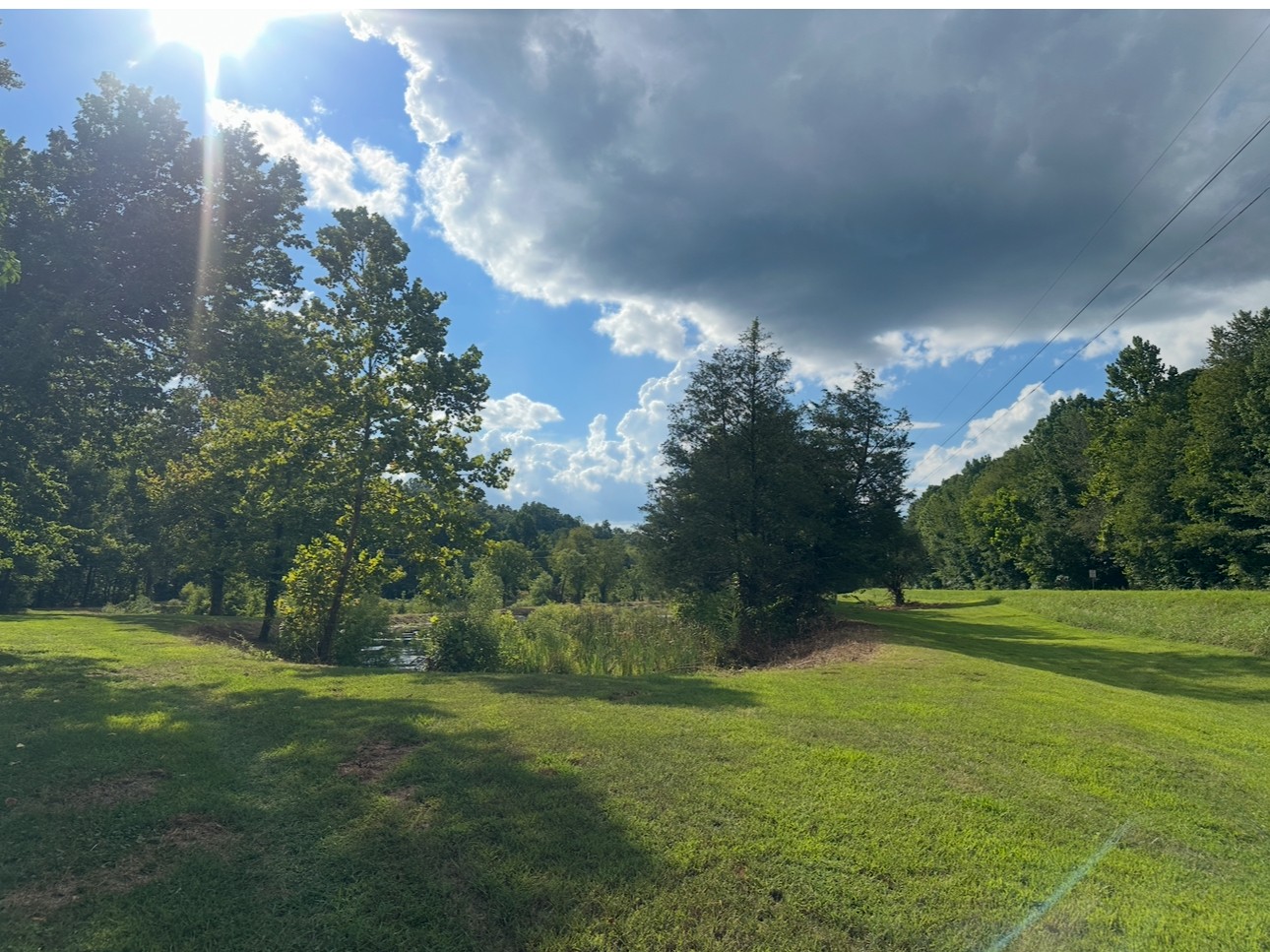 8884 Highway 412 Linden, TN 37096 - Photo 9 of 45 a view of a big yard