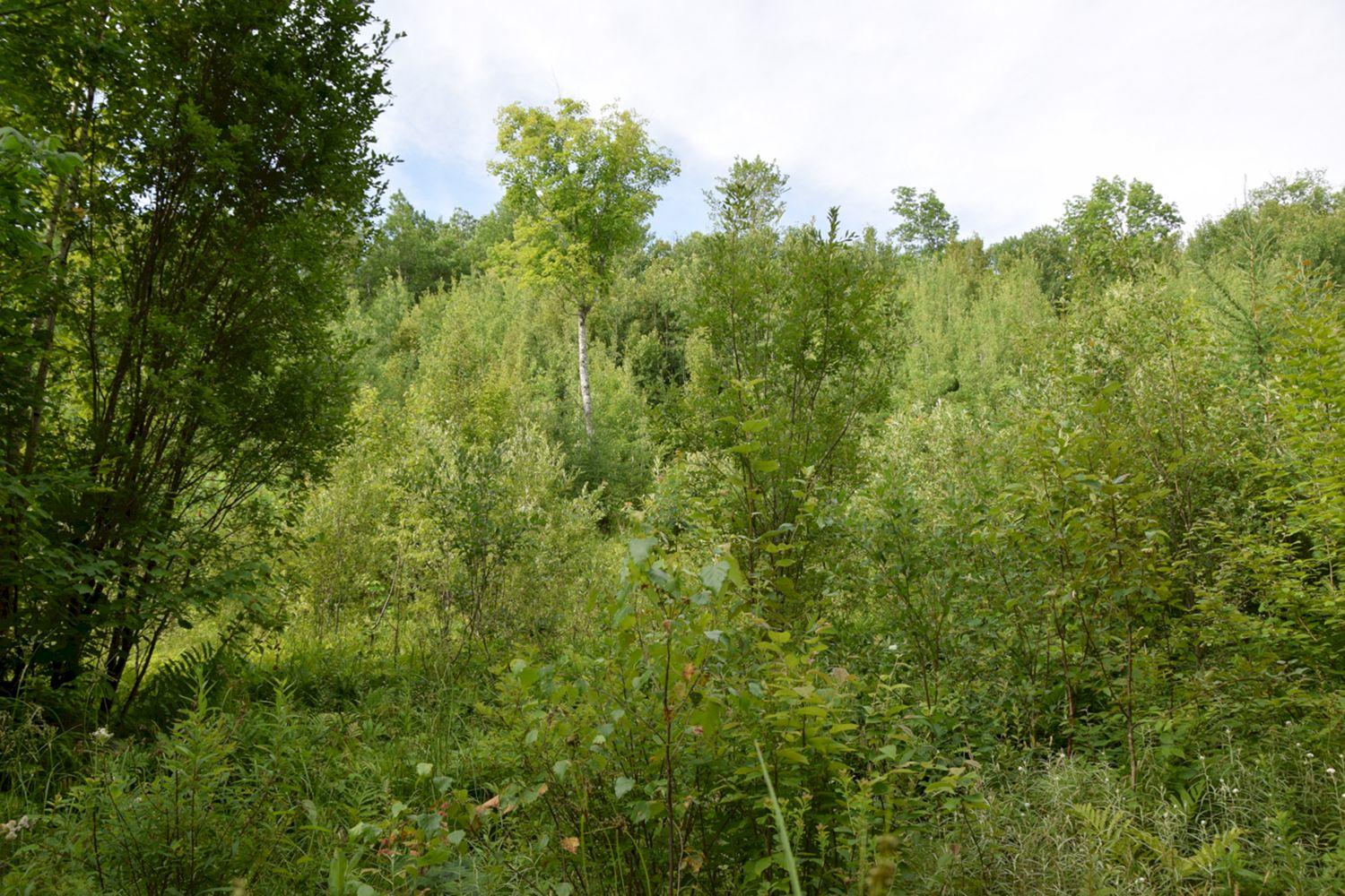 M7-l1-19-5 Pine Bluff Road Embden, ME 04958 - Photo 3 of 10 DSC_0005