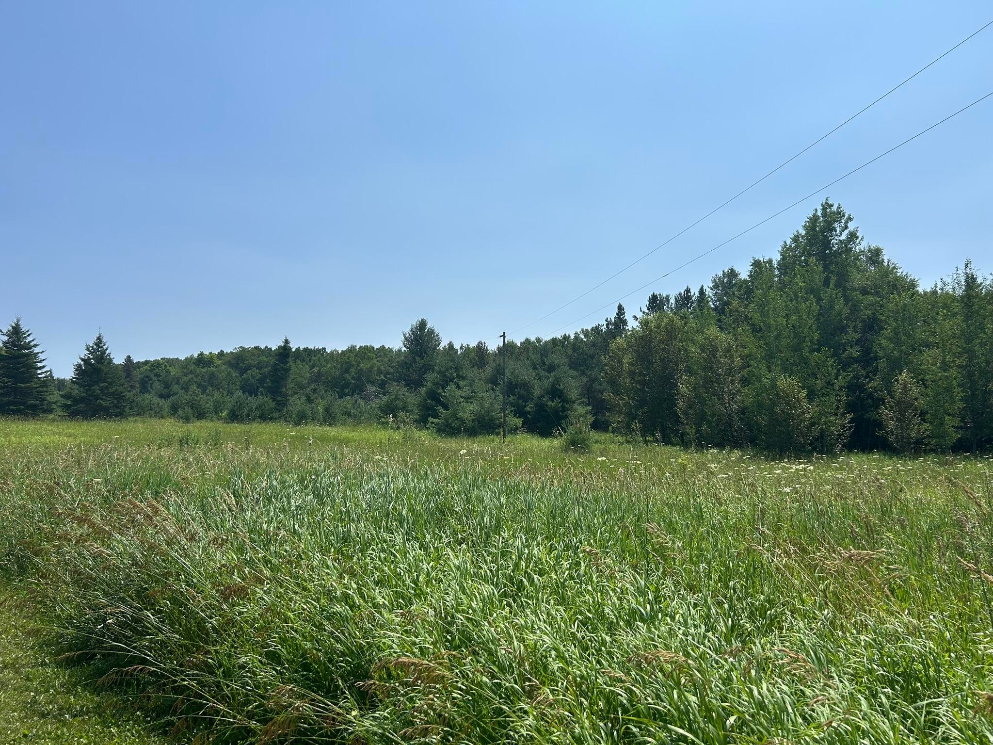 28348 West County Line Road Trout Lake, MI 49793 - Photo 69 of 83 Gallery Image 69