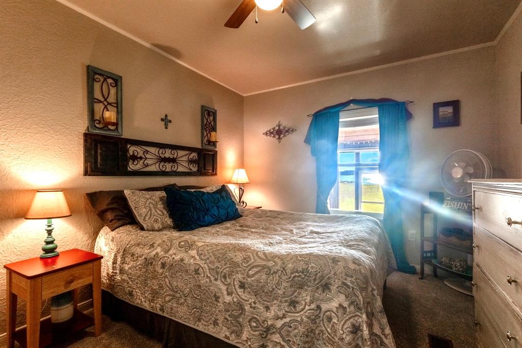 1167 Willow Road Graford, TX 76449 - Photo 20 of 33 a bedroom with a bed and a lamp on dresser