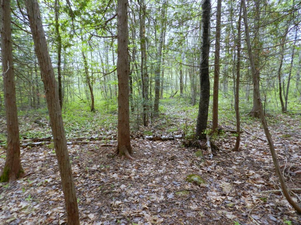 0 Mount Road Pittsfield, ME 04967 - Photo 8 of 25 Photo