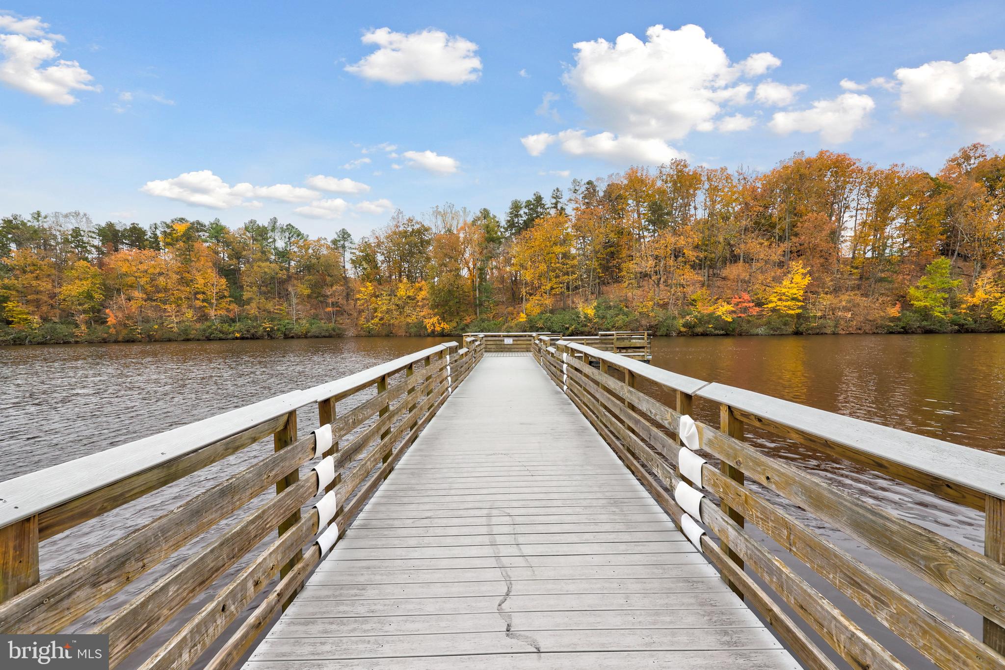 4 Highland Road Palmyra, VA 22963 - Photo 54 of 58