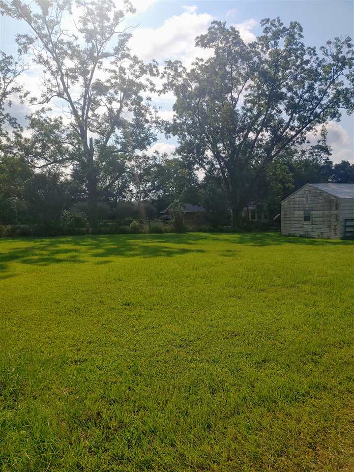 3991 Concord Road Havana, FL 32333 - Photo 4 of 34 Gallery Image 4