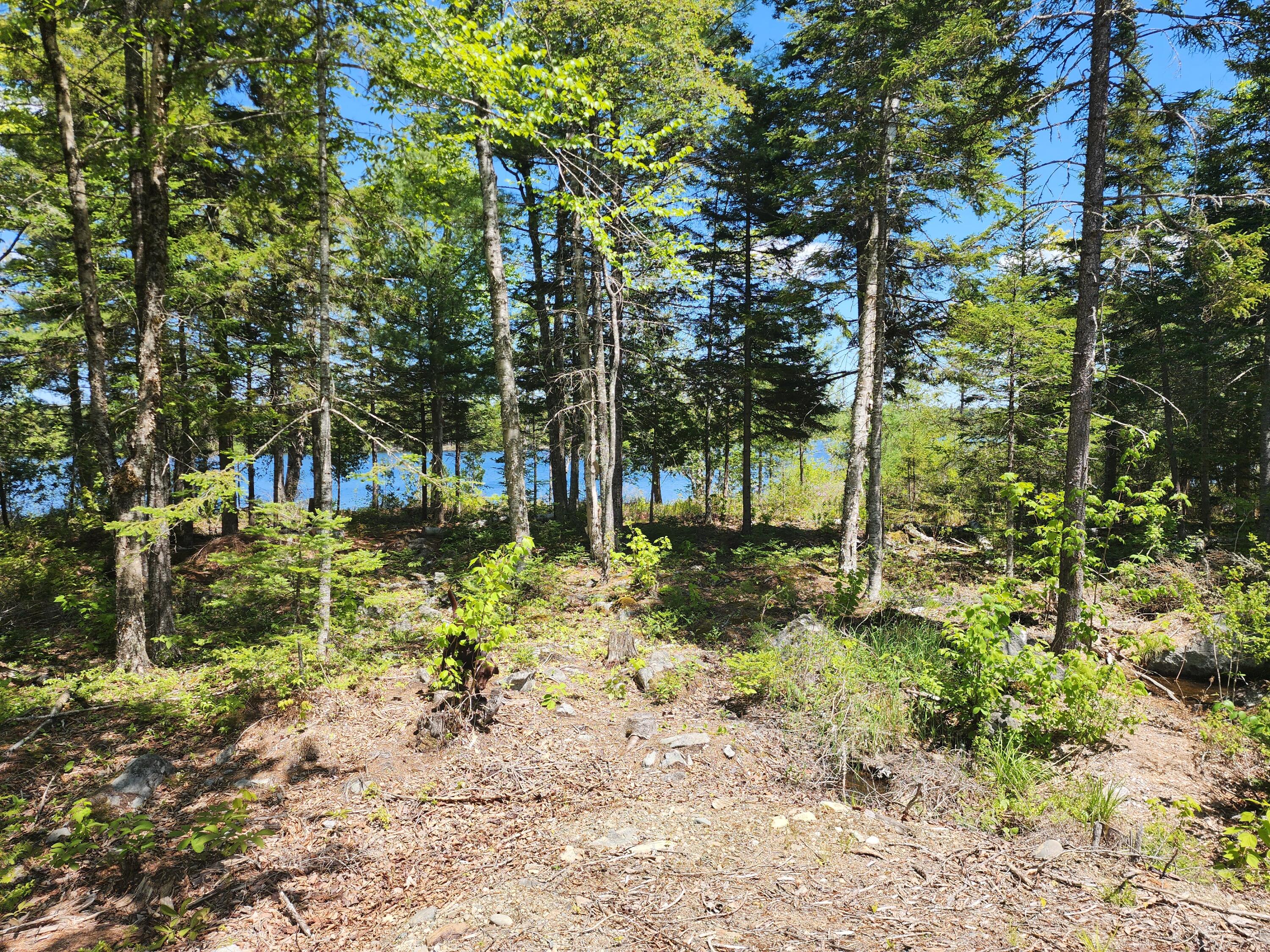 Lot L Center Road Cooper, ME 04657 - Photo 3 of 16 20250528_121927