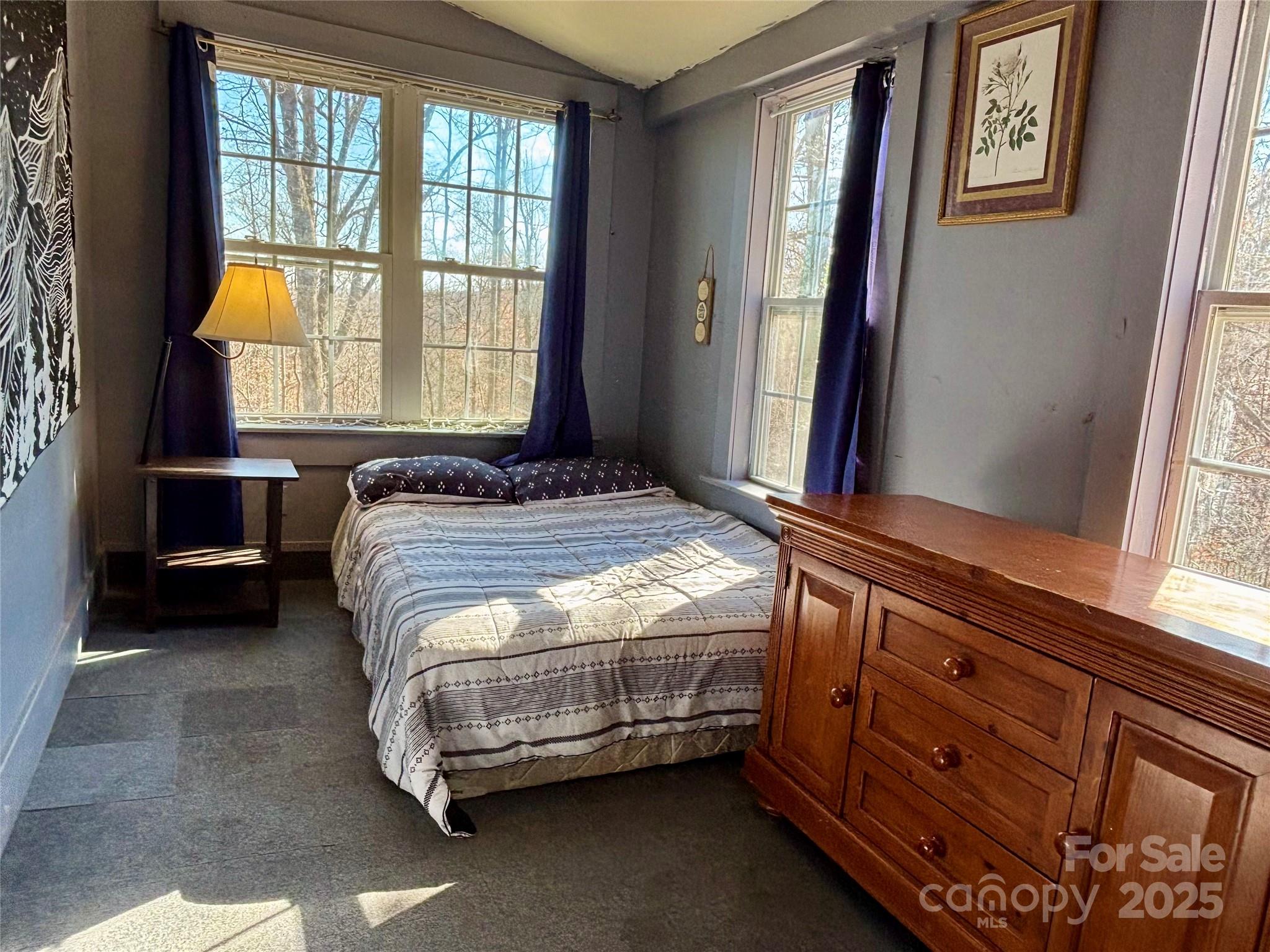 629 Vineyard Road Tryon, NC 28782 - Photo 24 of 28