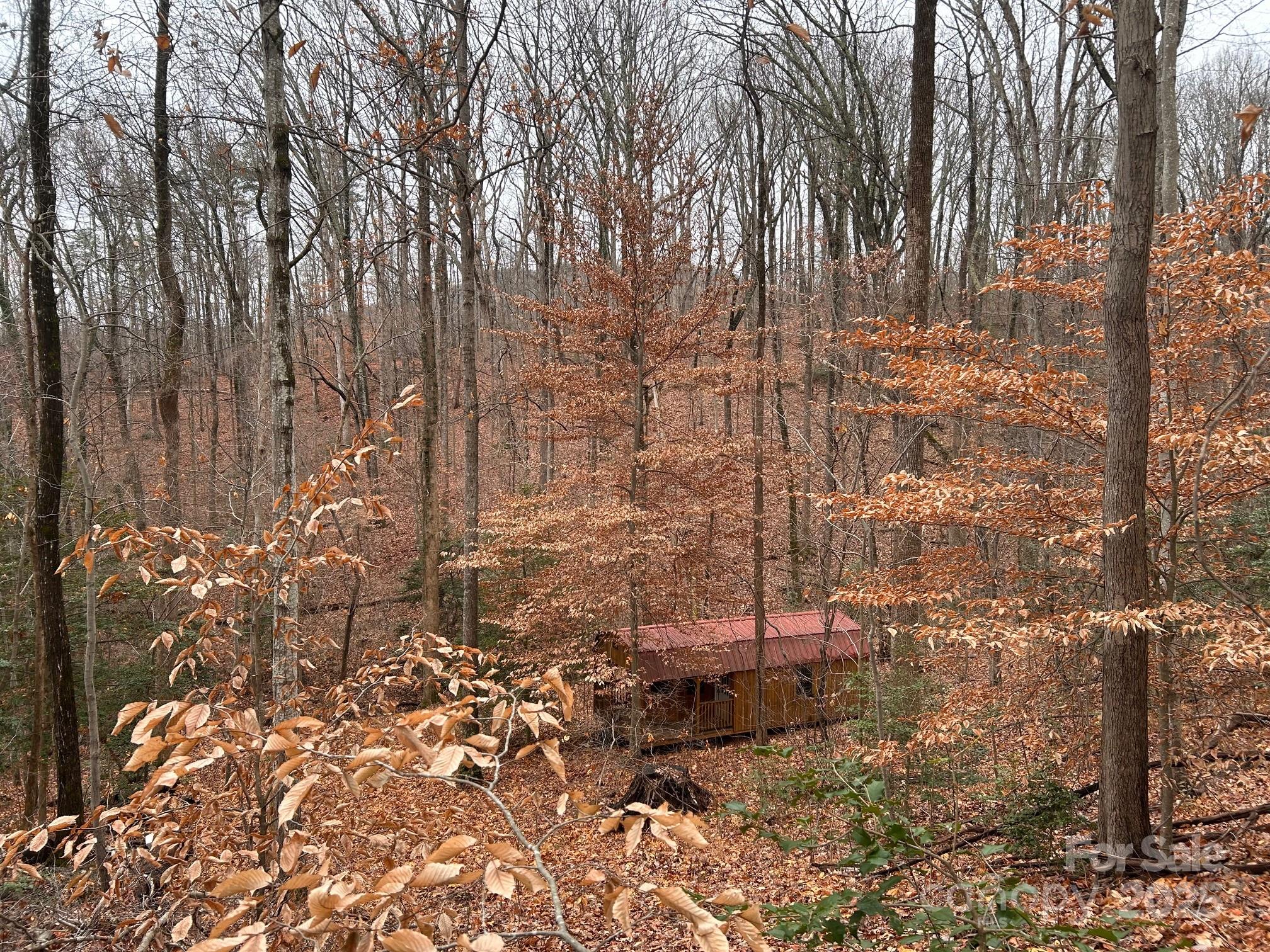 629 Vineyard Road Tryon, NC 28782 - Photo 7 of 28