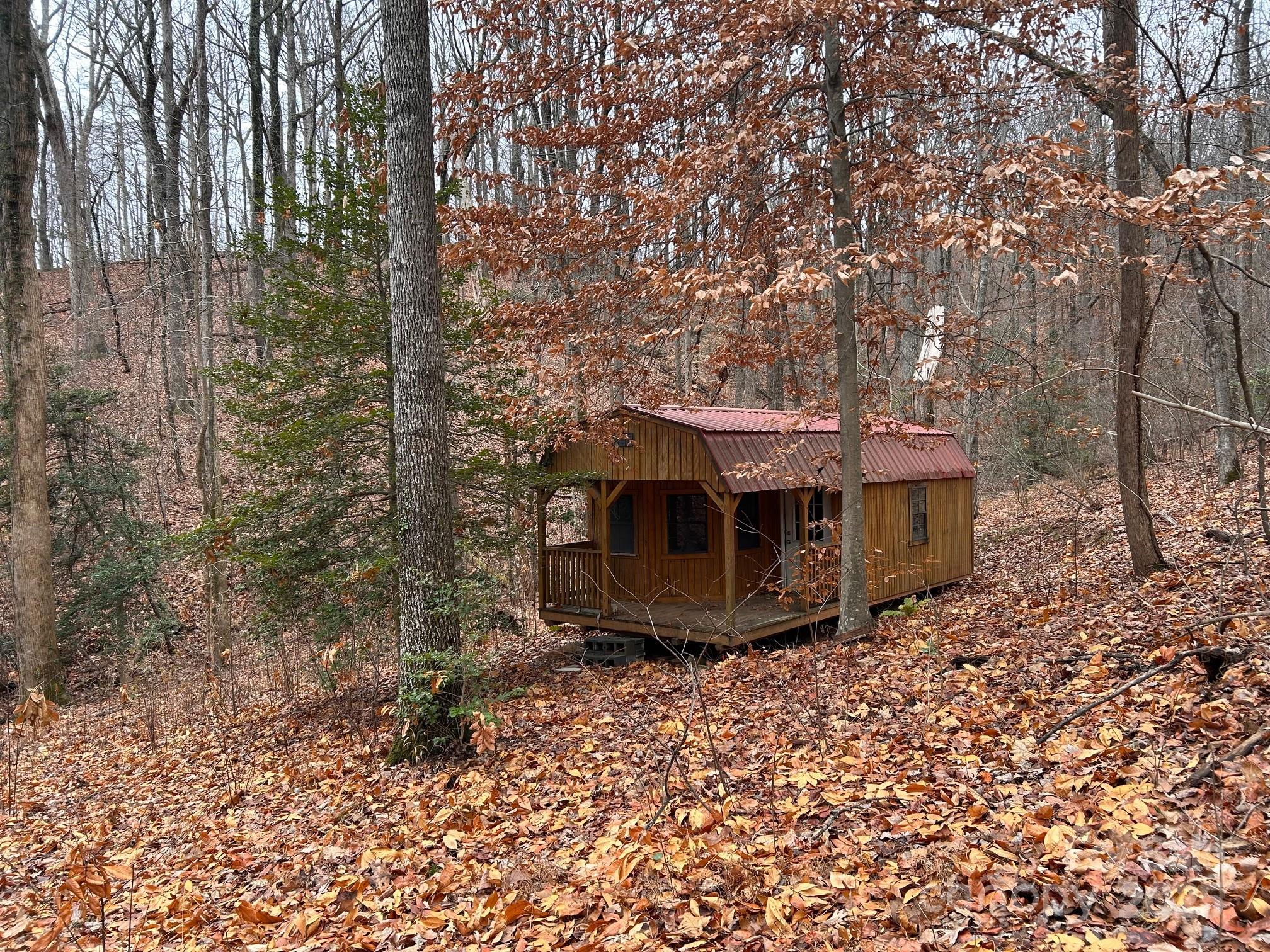 629 Vineyard Road Tryon, NC 28782 - Photo 8 of 28