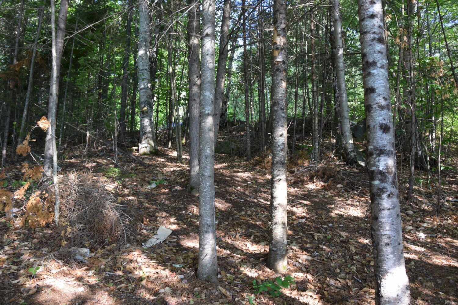 M28-l14-1 Embden Pond Road Embden, ME 04958 - Photo 14 of 14 DSC_0041