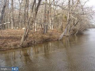 Lot 2 River Road Ridgely, MD 21660 - Photo 4 of 4