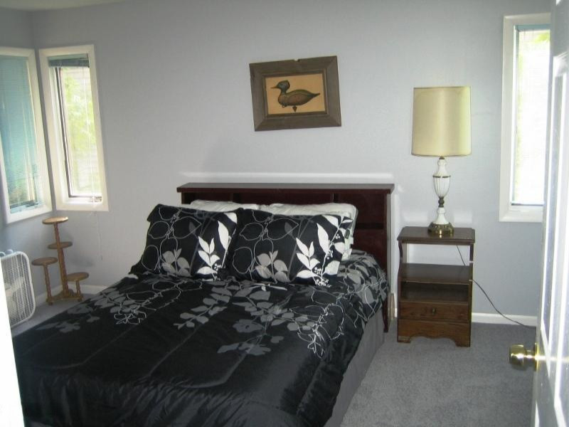 5882 Longbridge Road Pentwater, MI 49449 - Photo 7 of 14 Rays 009