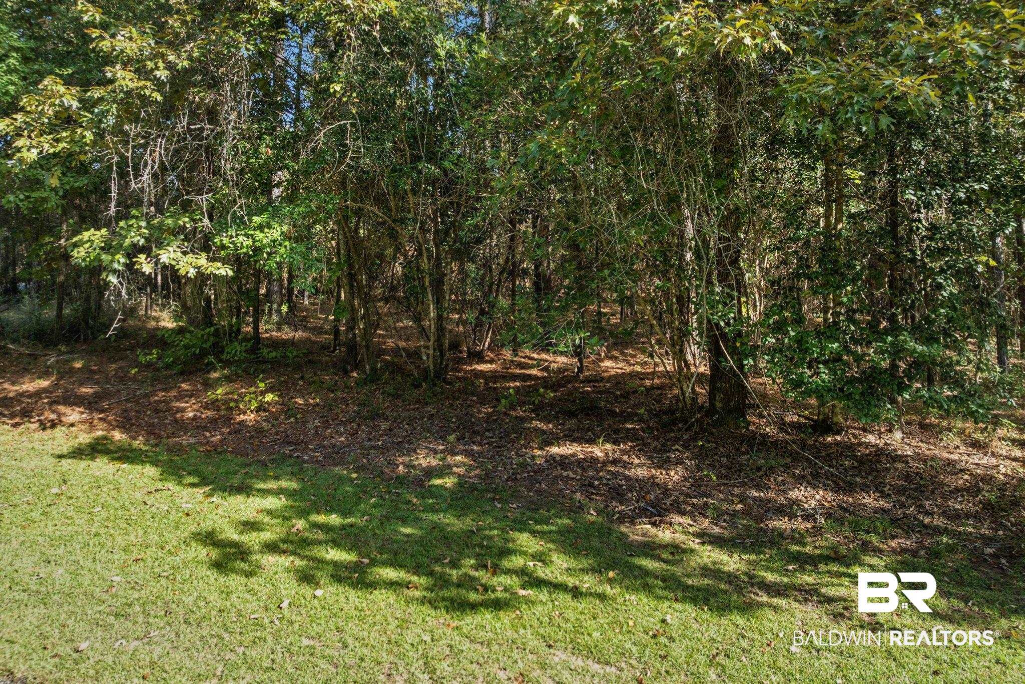 33244 Trinity Wood Drive Loxley, AL 36551 - Photo 2 of 14