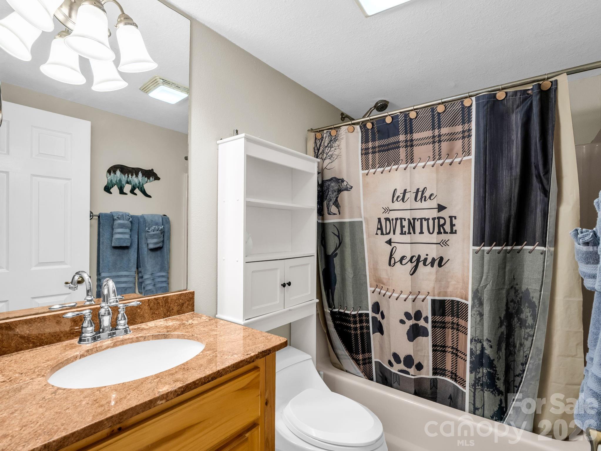 165 Dream Road Hendersonville, NC 28792 - Photo 20 of 46 a bathroom with a sink a toilet and shower