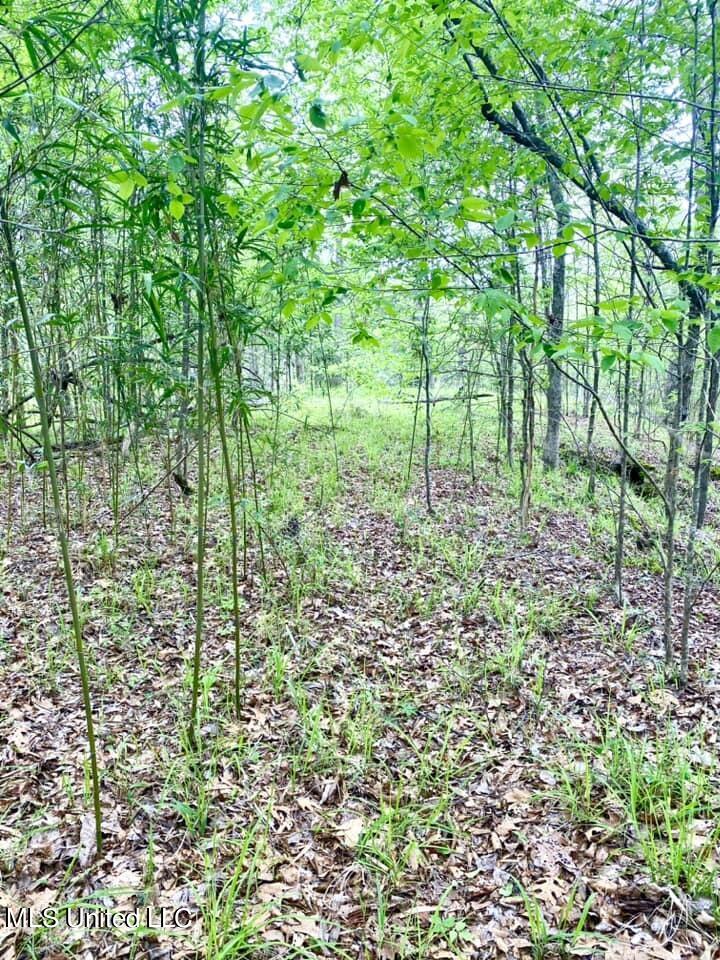 3878 Morrison Road Utica, MS 39175 - Photo 31 of 43 339996113_951356025996488_37587007113240