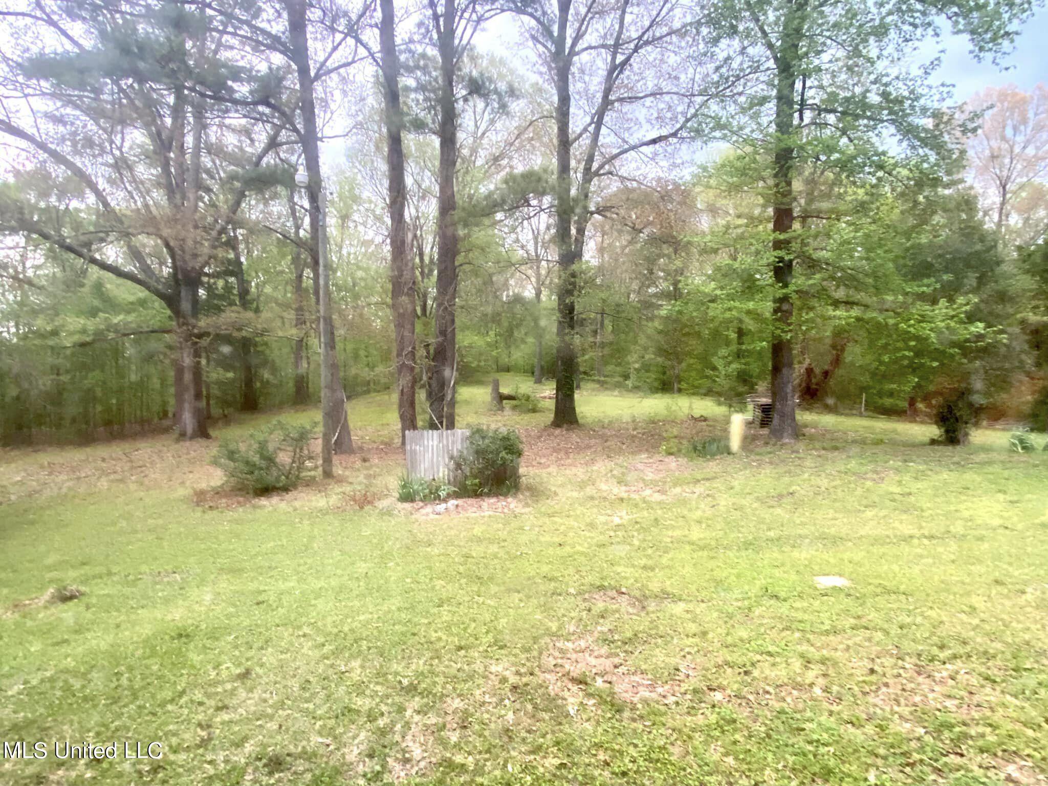 3878 Morrison Road Utica, MS 39175 - Photo 35 of 43 view from sunroom