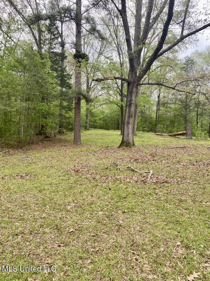 3878 Morrison Road Utica, MS 39175 - Photo 36 of 43 339927845_1919957351699752_7343334180644