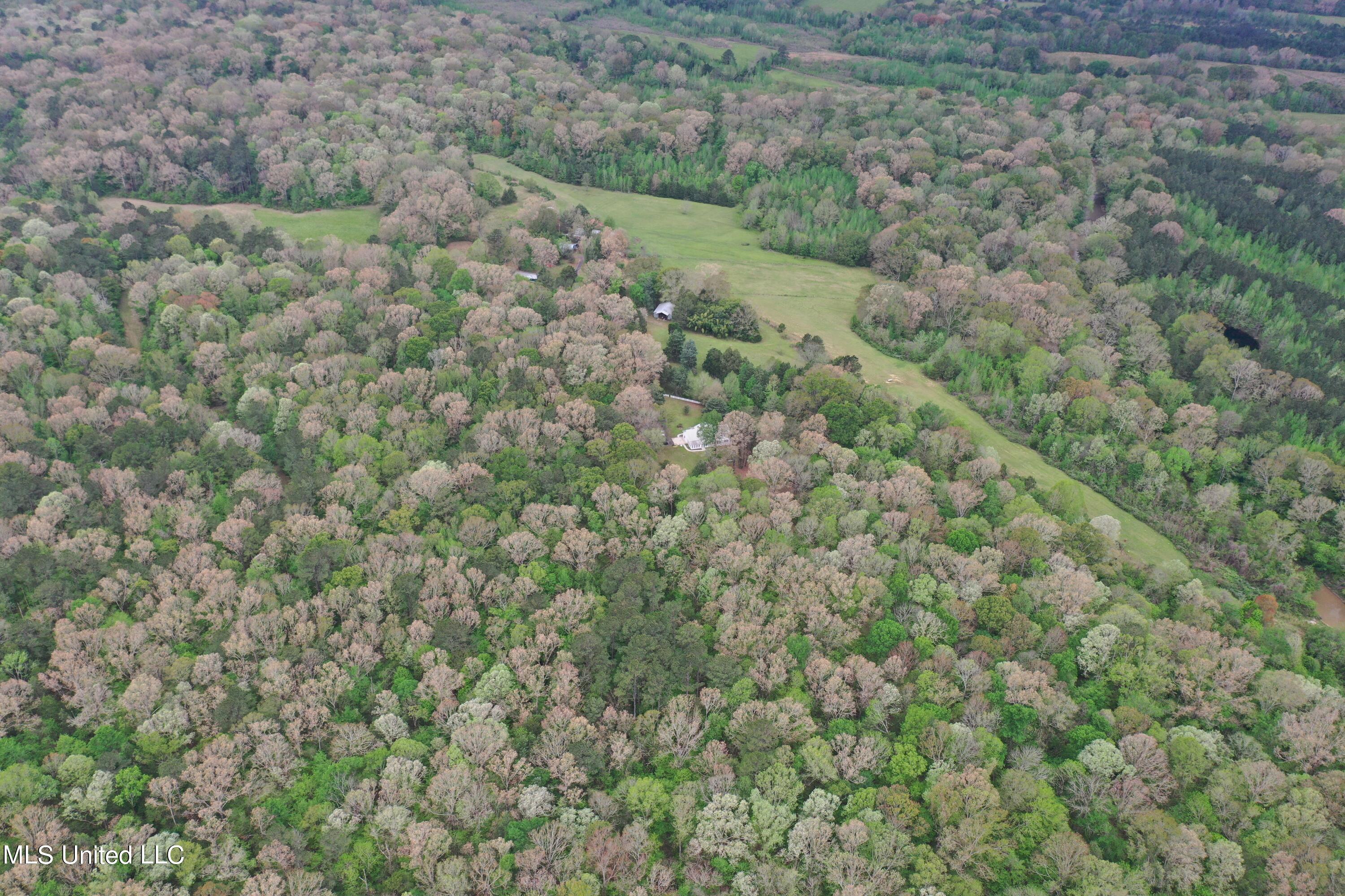 3878 Morrison Road Utica, MS 39175 - Photo 39 of 43 DJI_0102