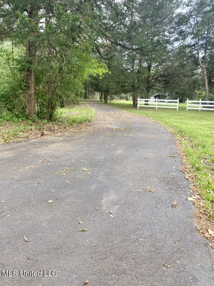 3878 Morrison Road Utica, MS 39175 - Photo 5 of 43 339114715_1888092801590593_4686281590552