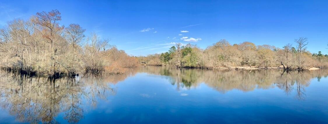 131 Gator Cove Ridgeville, SC 29472 - Photo 54 of 60 IMG_8016