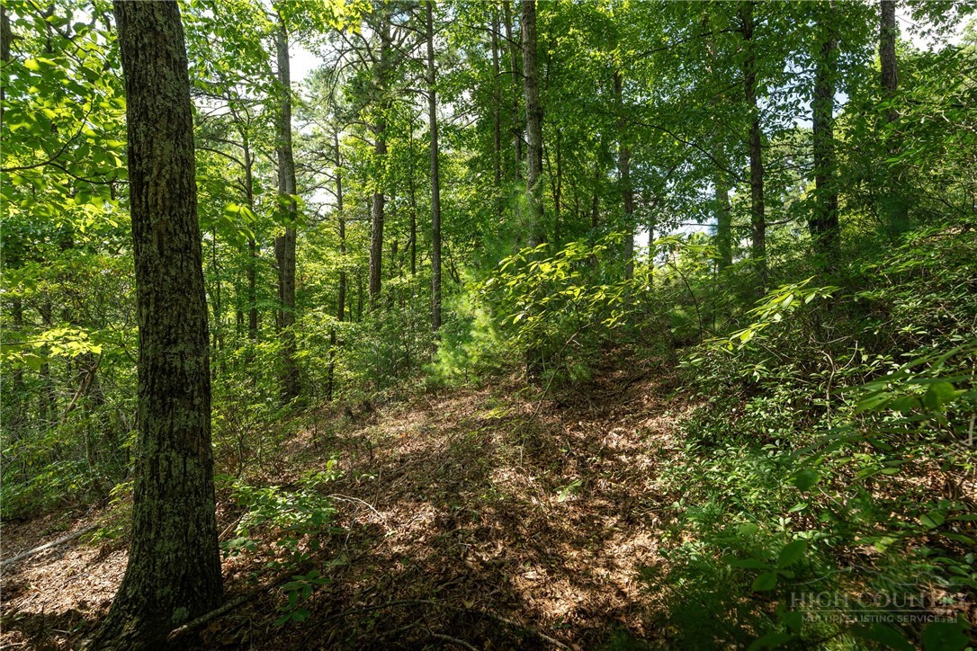1303 Reynolds Parkway Boone, NC 28607 - Photo 12 of 50 Gallery Image 12