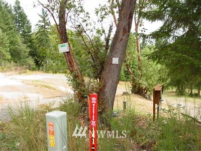 1 Probert Road Shelton, WA 98584 - Photo 1 of 1 Gallery Image 1