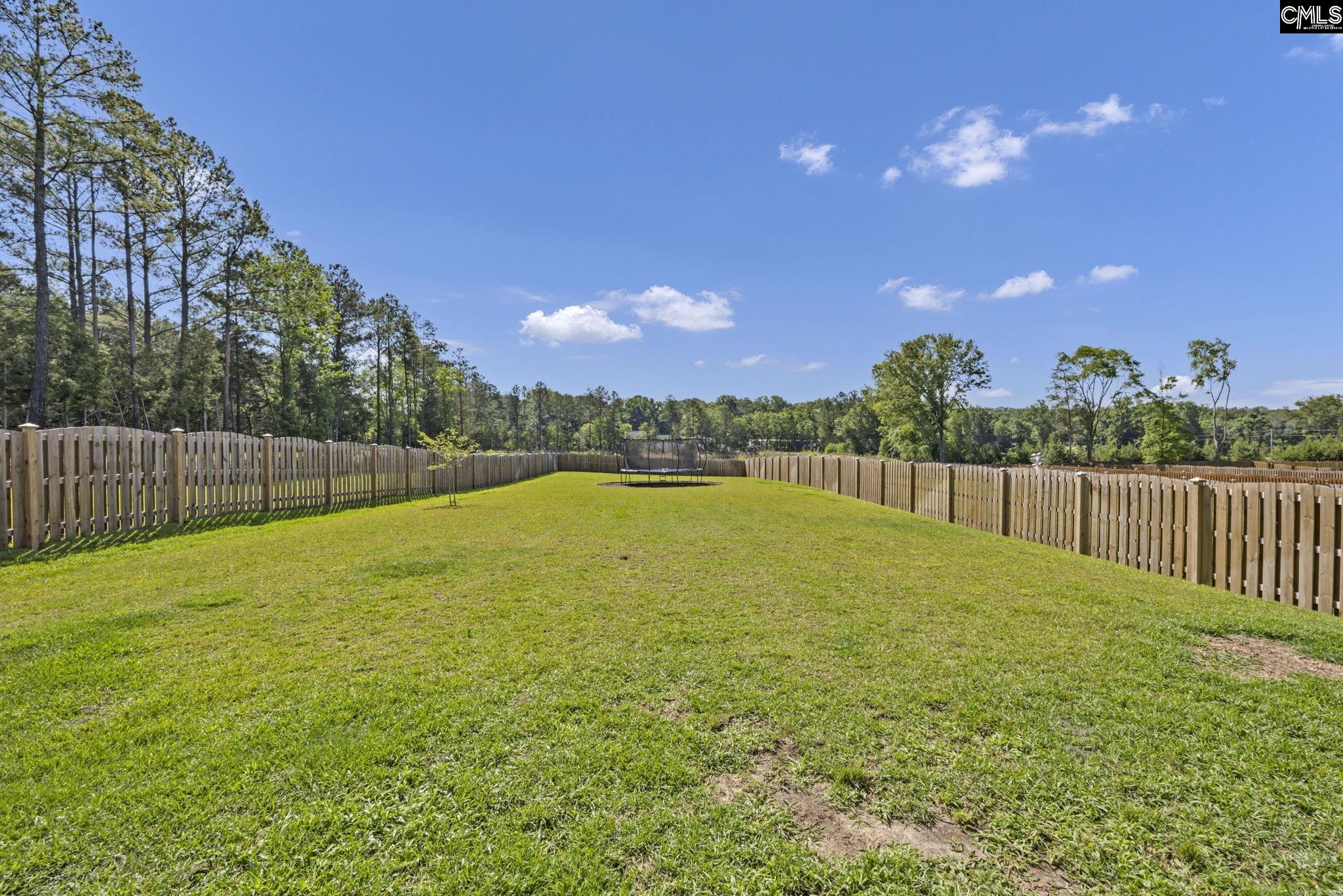 209 Chapin Pl Way Chapin, SC 29036 - Photo 47 of 53