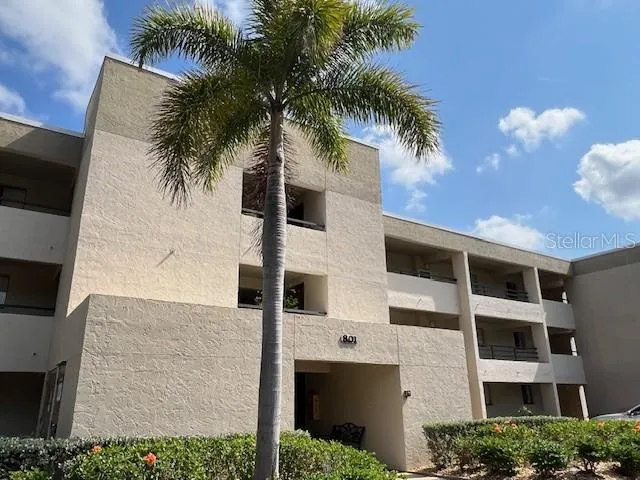 a front view of a house with a palm tree