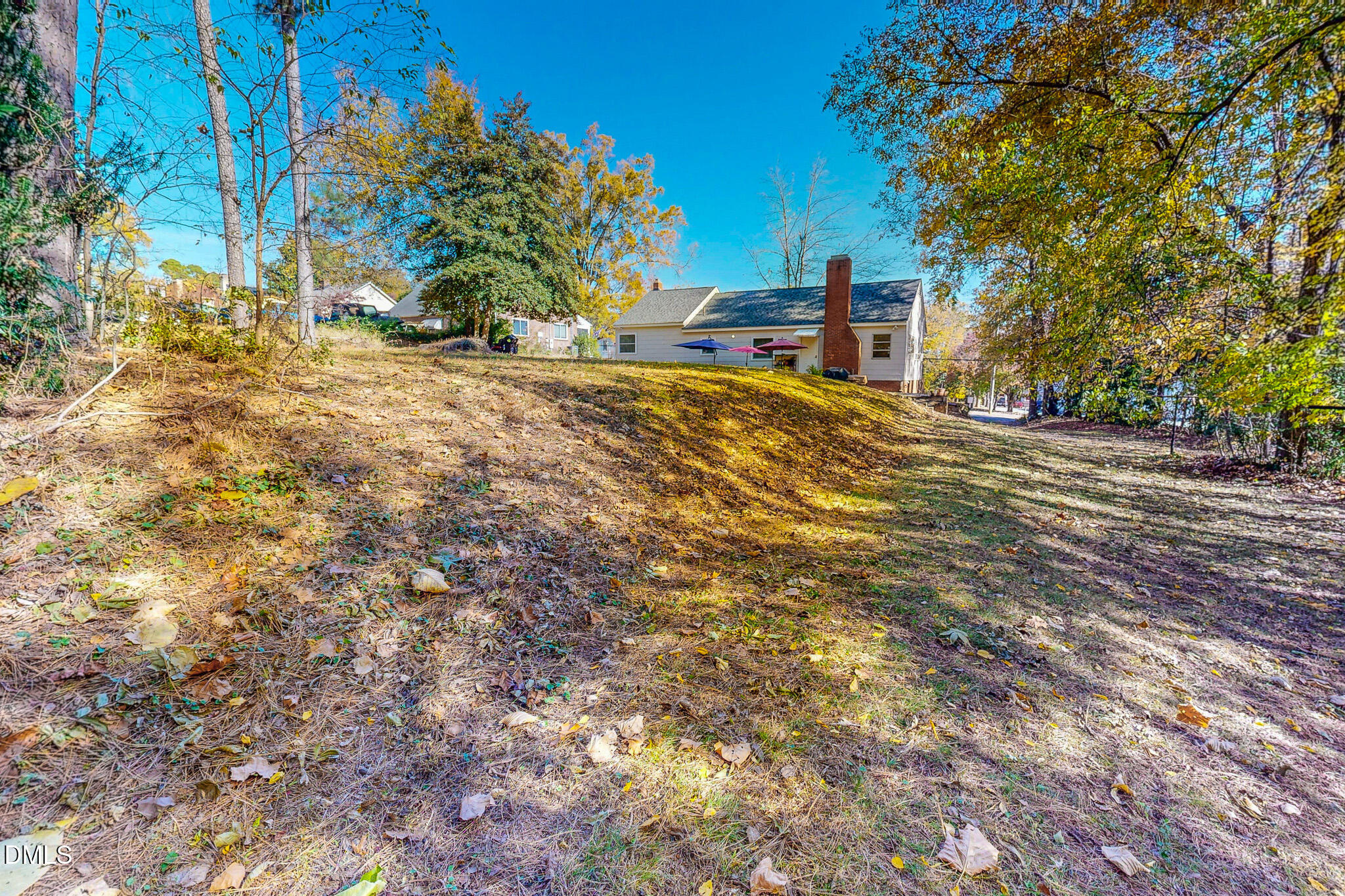 515 Reams Avenue Roxboro, NC 27573 - Photo 26 of 29 a view of a yard with plants