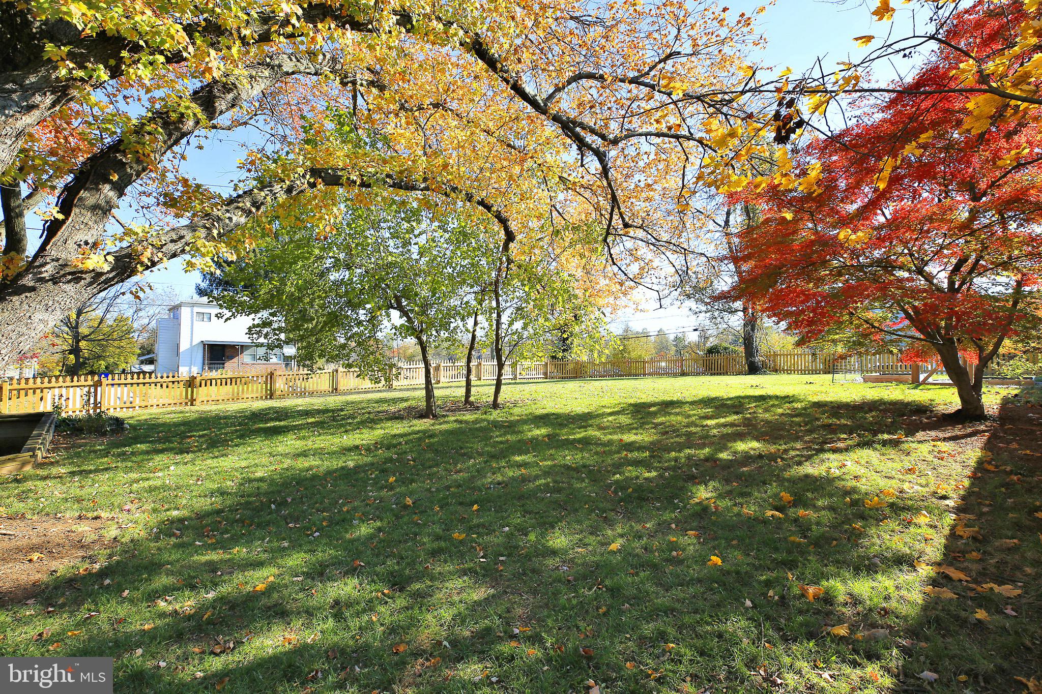 10400 Barrie Avenue Silver Spring, MD 20902 - Photo 8 of 59