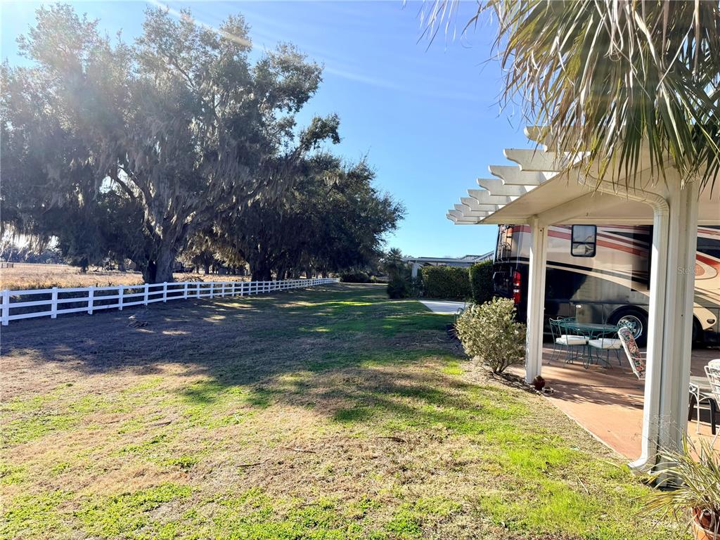 4805 Southeast 94th Avenue Webster, FL 33597 - Photo 8 of 35 a view of a yard with palm tree