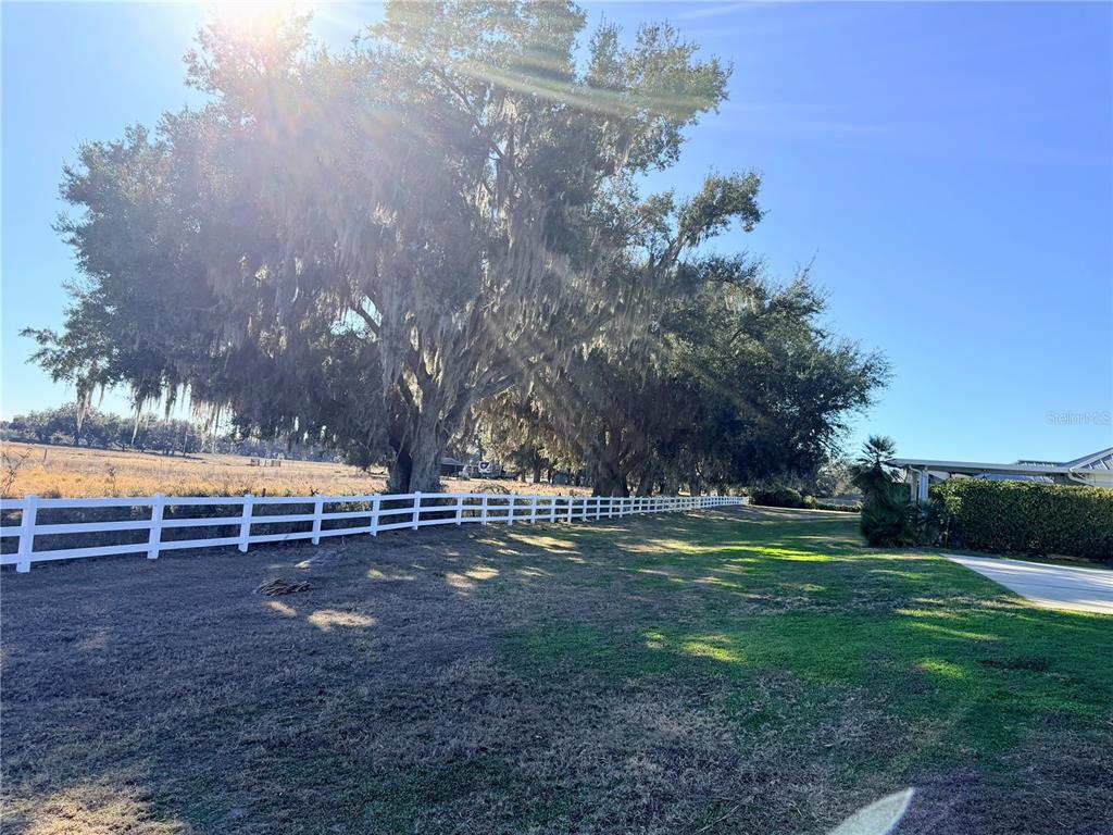 4805 Southeast 94th Avenue Webster, FL 33597 - Photo 9 of 35 a view of outdoor space with garden and trees