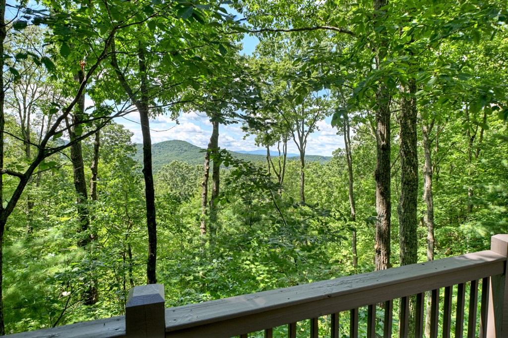 839 Green Ridge Road Blue Ridge, GA 30513 - Photo 50 of 54 a view of a garden from a balcony