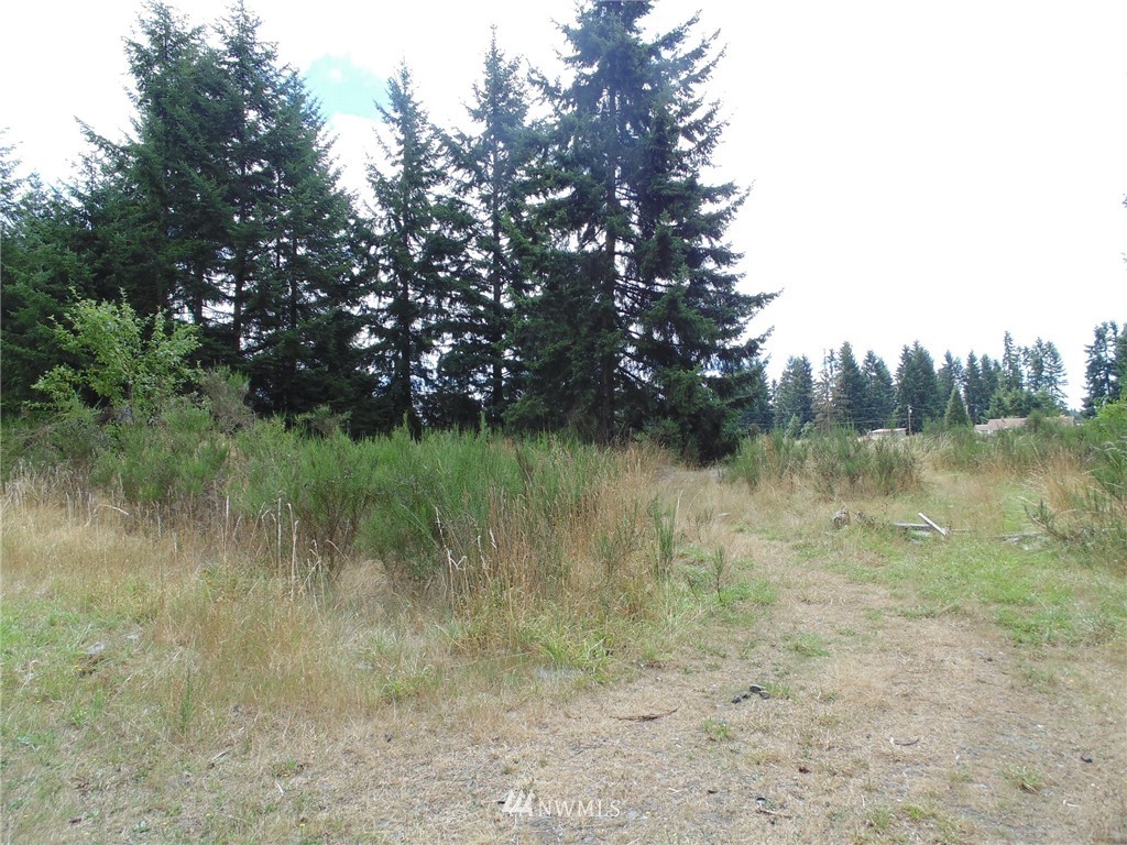 10301 179th Avenue Southwest Rochester, WA 98579 - Photo 2 of 5