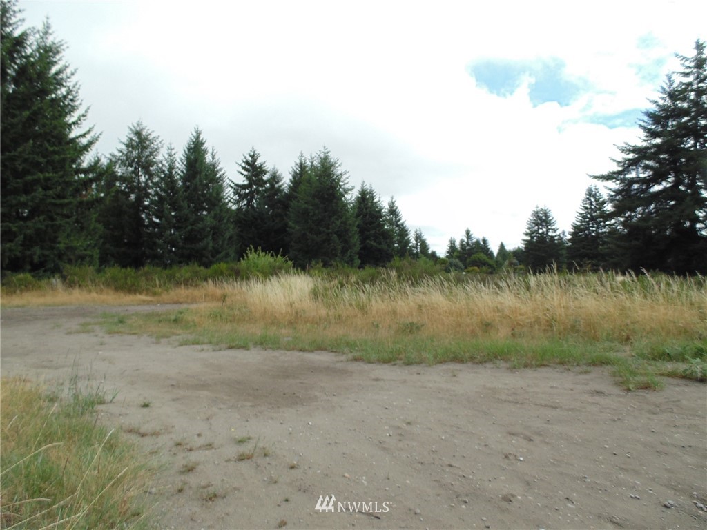 10301 179th Avenue Southwest Rochester, WA 98579 - Photo 3 of 5