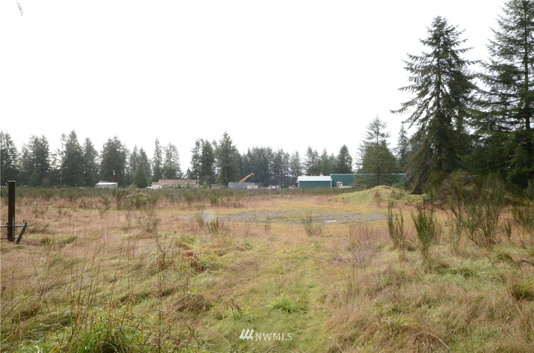 10301 179th Avenue Southwest Rochester, WA 98579 - Photo 4 of 5