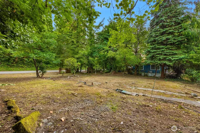 a view of backyard with tree