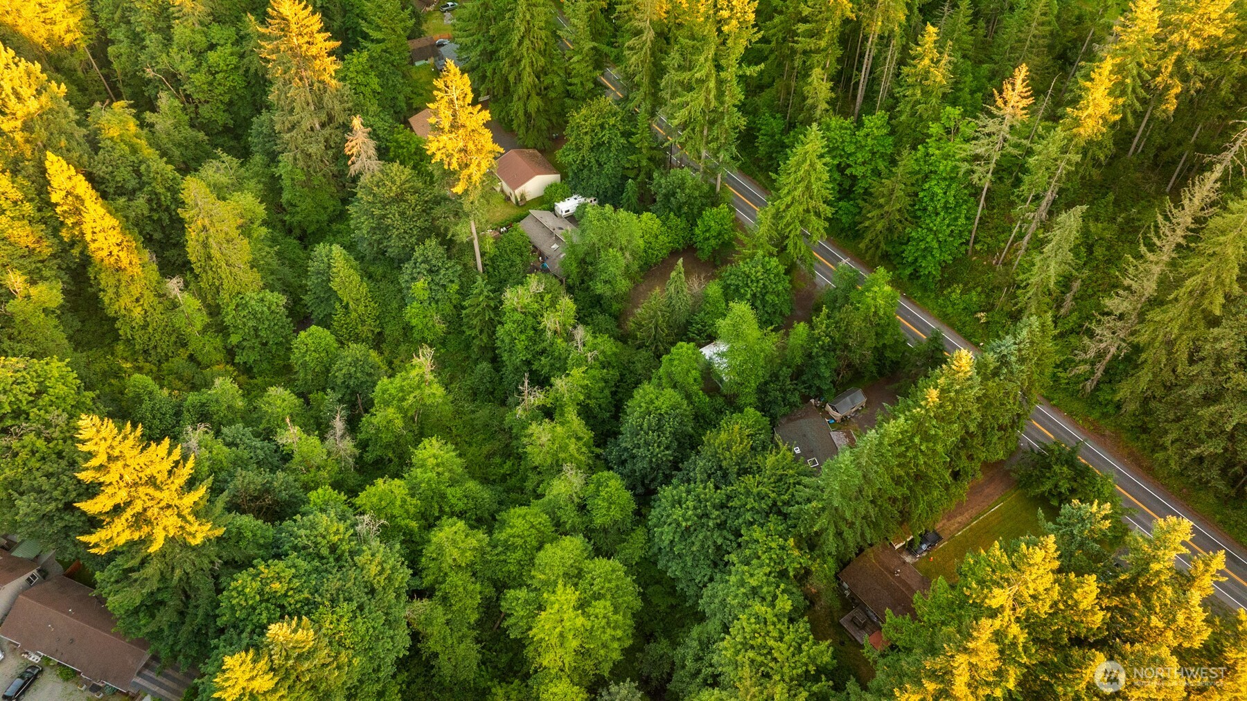 17029 Southeast Auburn-Black Diamond Road Auburn, WA 98092 - Photo 11 of 15 a view of a forest