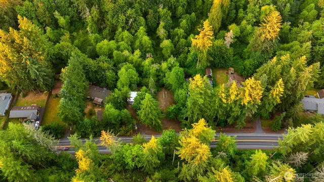 a backyard of a house with lots of green space and trees all around