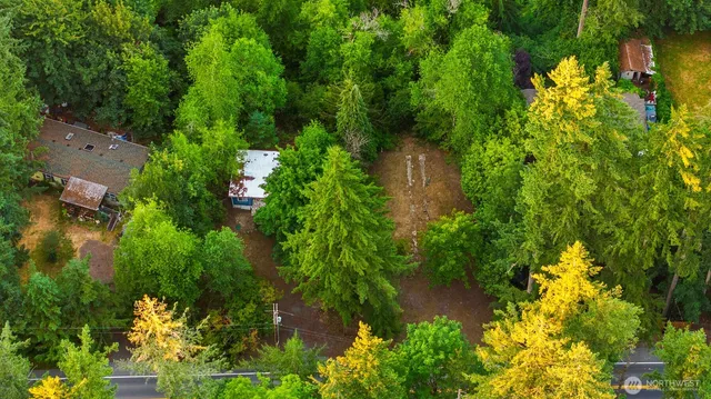 a view of a garden with plants