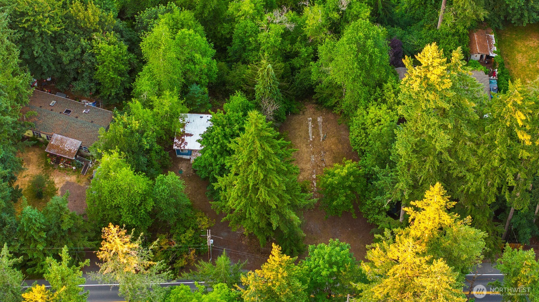 17029 Southeast Auburn-Black Diamond Road Auburn, WA 98092 - Photo 15 of 15 a view of a garden with plants