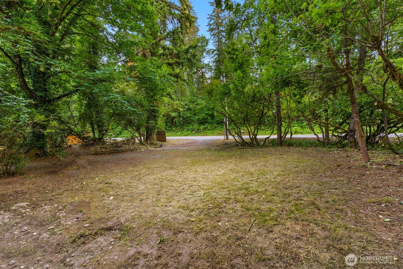 17029 Southeast Auburn-Black Diamond Road Auburn, WA 98092 - Photo 4 of 15 a view of outdoor space with trees