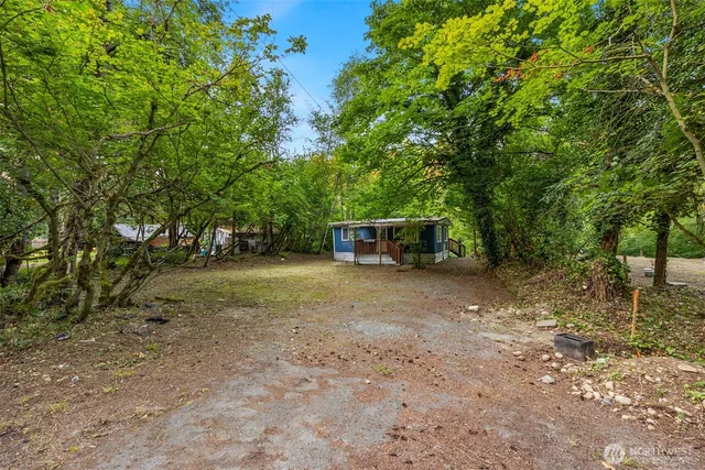 a view of a trees with a yard