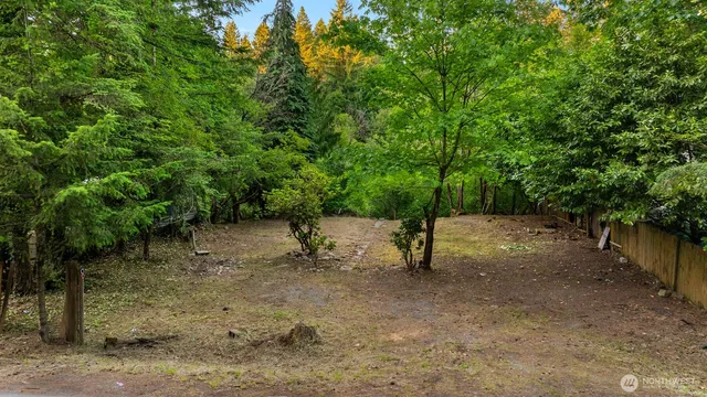 a view of a forest with trees in the background