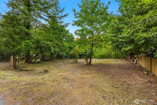 a view of a tree in the middle of a yard