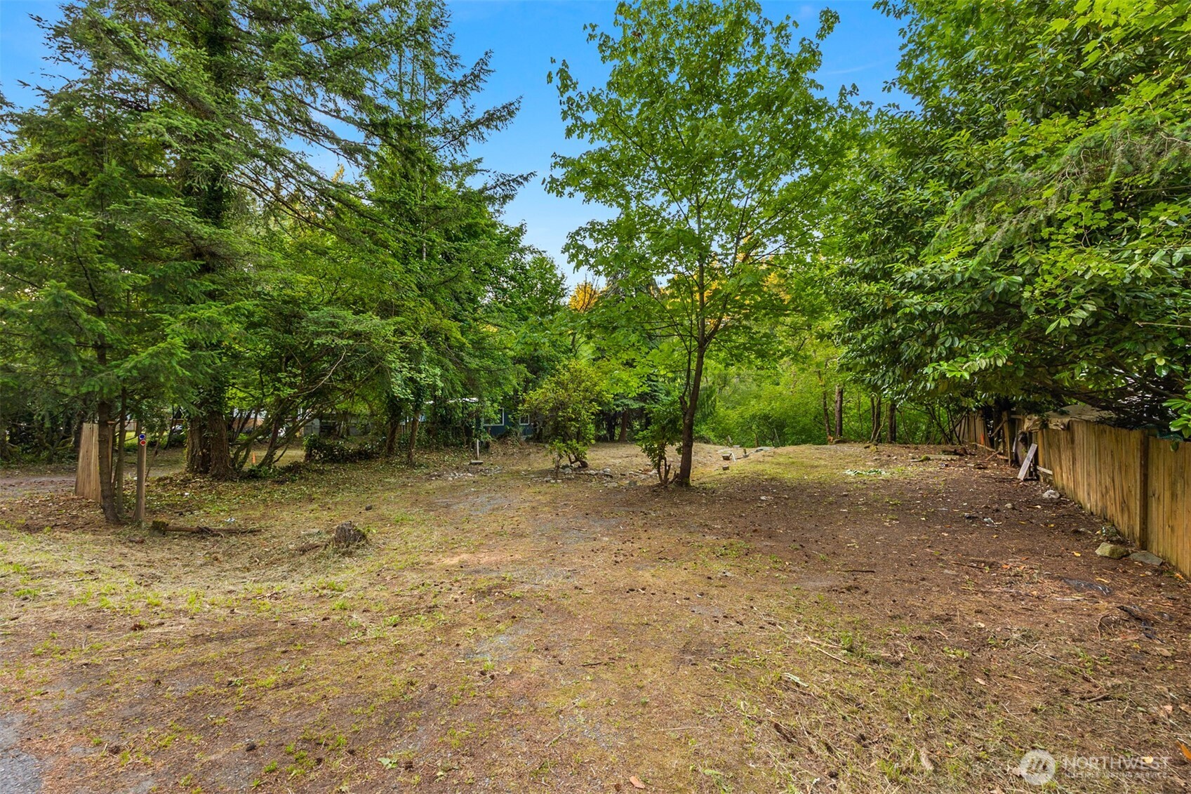 17029 Southeast Auburn-Black Diamond Road Auburn, WA 98092 - Photo 8 of 15 a view of a tree in the middle of a yard